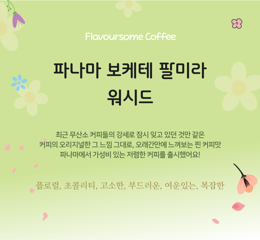 파나마 보케테 팔미라 워시드 - 메인 이미지