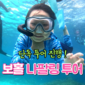 보홀 나팔링투어 스노클링 단독 액티비티 정어리떼 동남아 자유여행 럭키호핑 솔직 후기 | 실사용자 리뷰 분석 - 상품 이미지 1