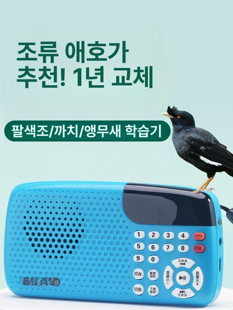 앵무새 말하는법 가르치는 녹음 반복 충전 녹음기 앵무새장난감 C31 블루 타이머+블루투스+반복+녹음 - 상세 이미지 2