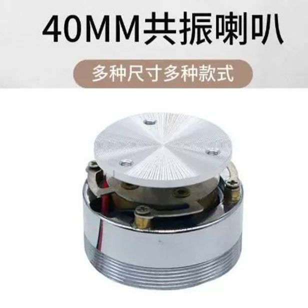 공명스피커 진공관 오디오 우퍼 고출력 저음 골전도 공명 스피커 부품 40mm 25W 4옴 - 상세 이미지 2
