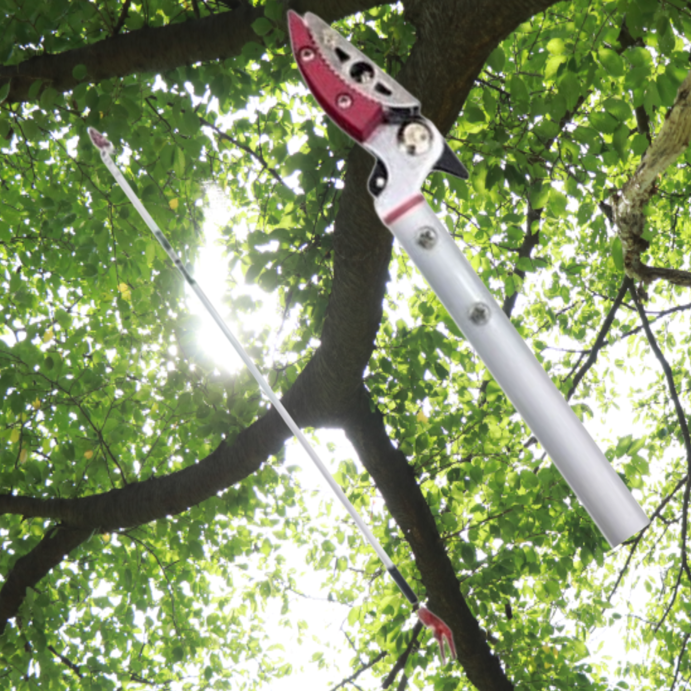 높은 나무 전지 도구 긴 전지 가위 감 따는 집게