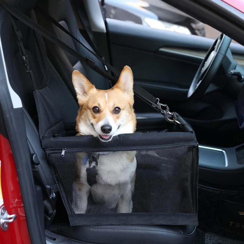 강아지 소형견 애견 카시트 차시트 - 상품 이미지