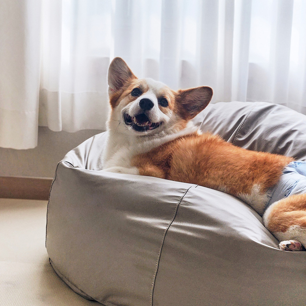 폴리몰리 904SU 강아지 펫 빈백 대형 고양이 반려동물 방석 마약 쿠션 방수 애견 침대