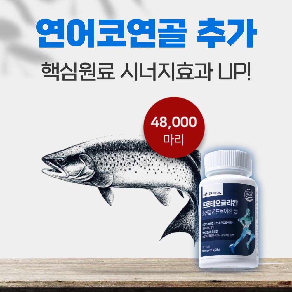 프로테오글리칸 소연골 연어코연골 프리테오글리칸 - 상세 이미지 5