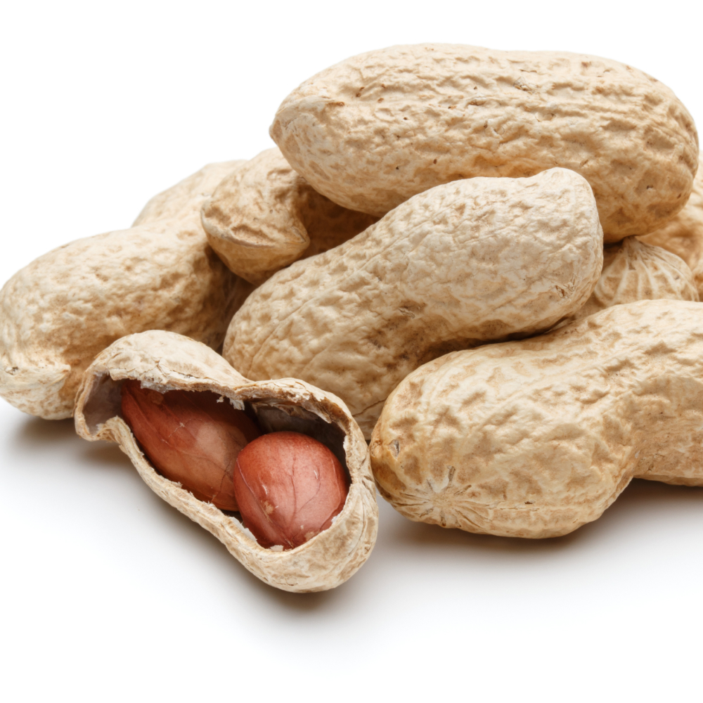국산 땅콩 생땅콩 햇땅콩 햇생알땅콩 1kg, 1개 이미지 6