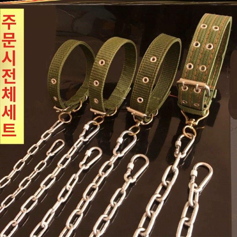 대형견 쇠줄 진돗개 굵기 체인 시골개 스틸 마당개 시골 대형 반려 맹견 리트리버 마당 철사 2.5mm 이하 15kg 길이 1m - 상세 이미지 2