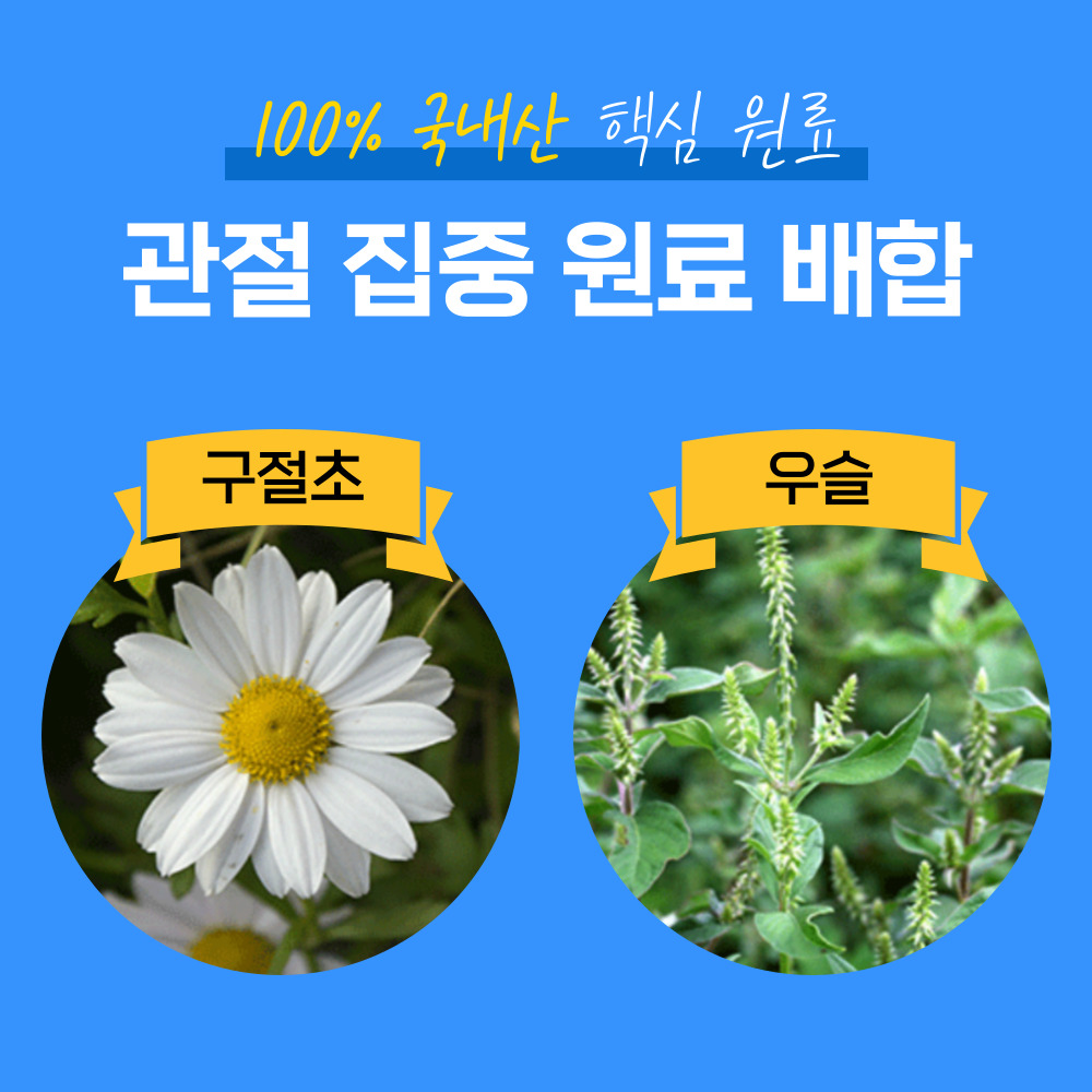 프로테오글리칸 소연골 연어코연골 프리테오글리칸 이미지 6