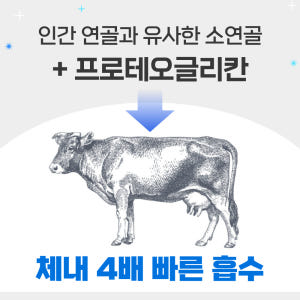 프로테오글리칸 소연골 연어코연골 프리테오글리칸 맛있게 먹은 솔직 후기 - 상품 이미지 3