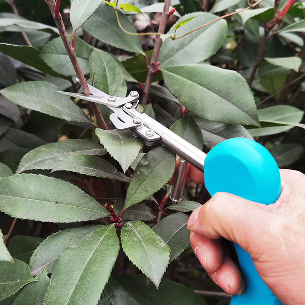 전지 전정 분재 꽃꽂이 가지치기 가위