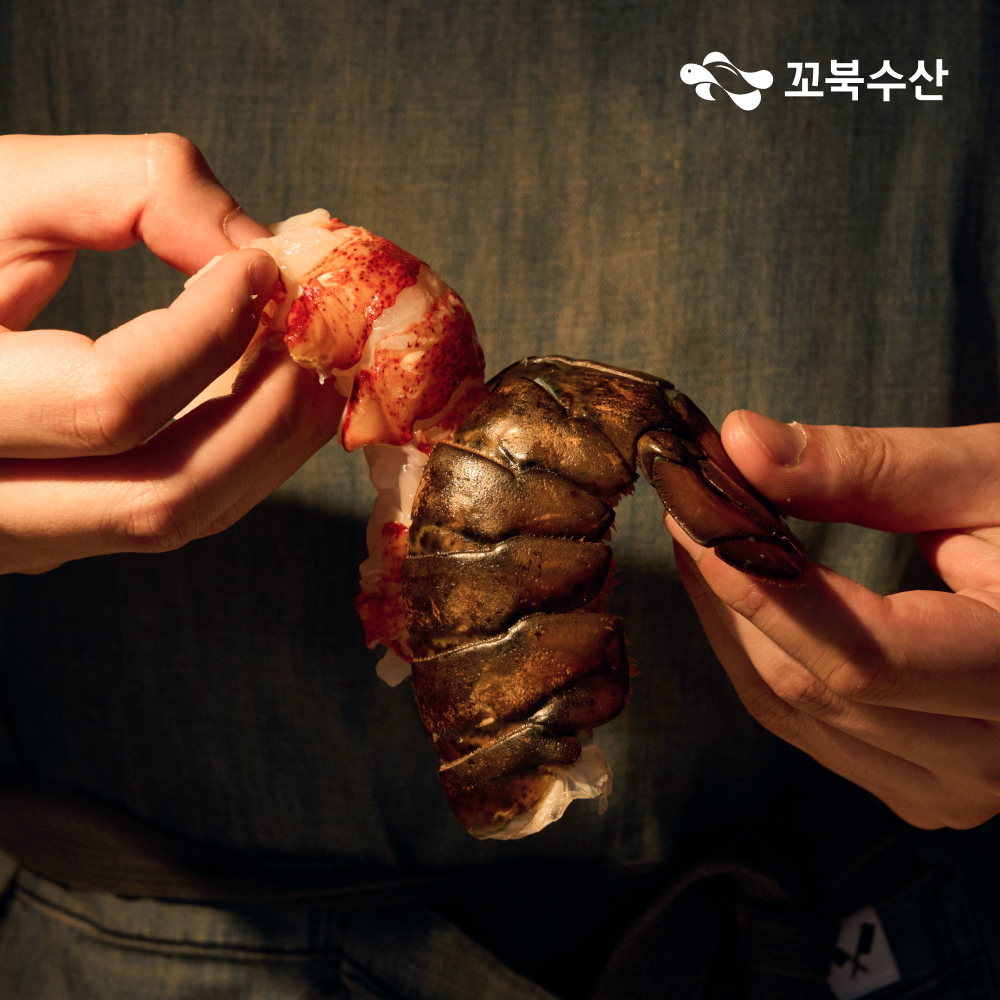 랍스터 테일 1마리 특대 (160~220g) 냉동 랍스타 꼬리 바다가제 6-8oz - 메인 이미지