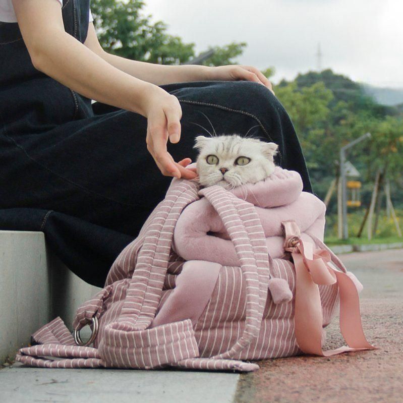 고양이 앞가방 강아지 백팩 이동장 소형 외출 산책가방 라이트핑크 S - 상세 이미지 2