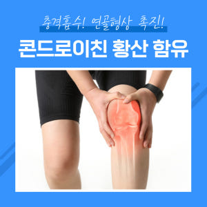 프로테오글리칸 소연골 연어코연골 프리테오글리칸 맛있게 먹은 솔직 후기 - 상품 이미지 4