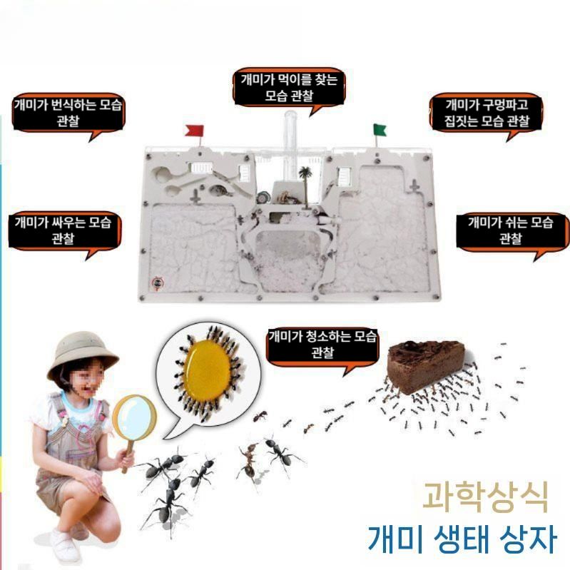 개미키우기 관찰 키트 개미 사육장 투명 여왕개미 둥지 싱글타워 단품 - 상세 이미지 3