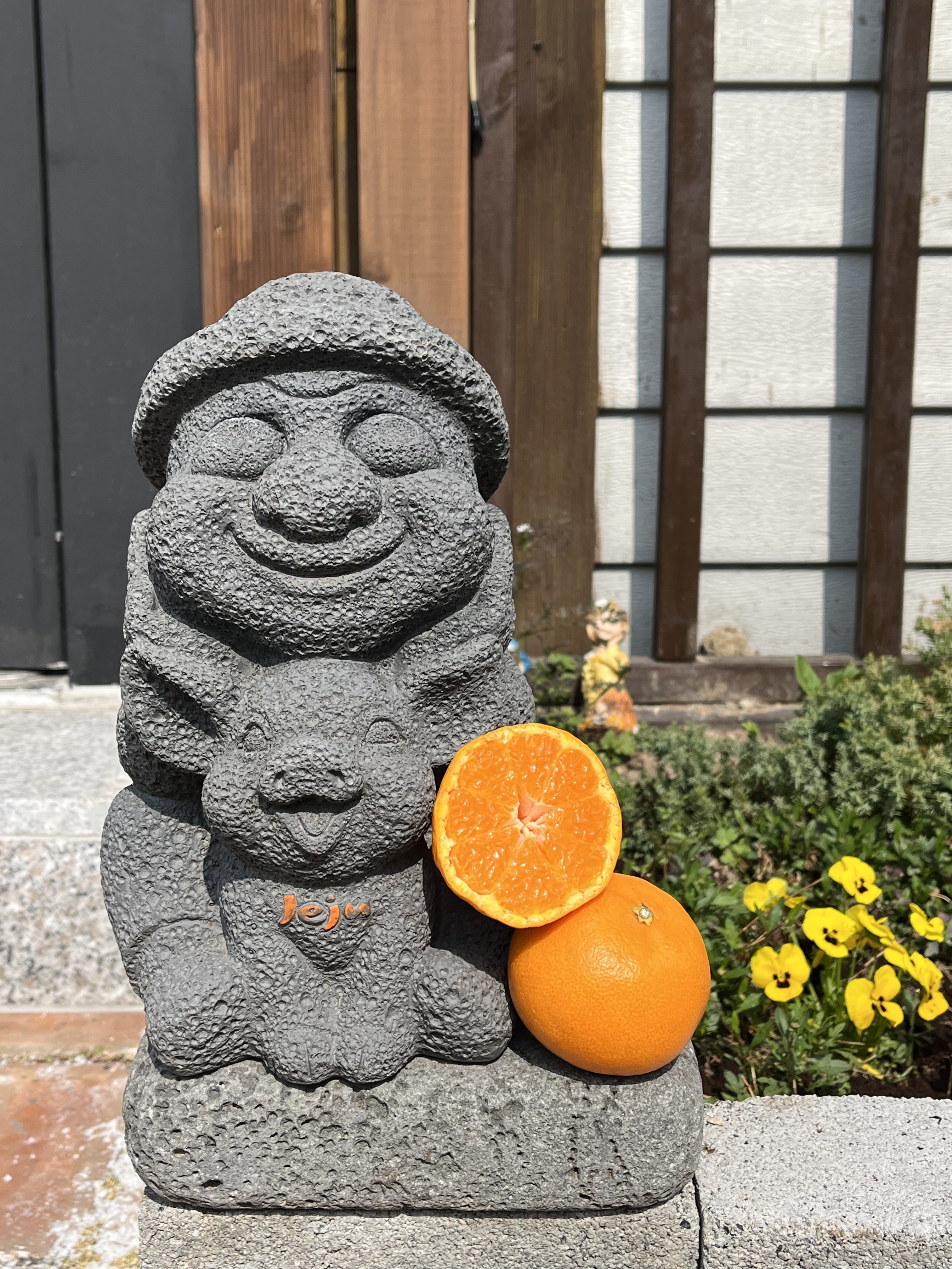 100% 청정 제주산 프리미엄 황금향 고당도 가정용 선물용 [중과] 2.5kg, 1개 - 상세 이미지 5