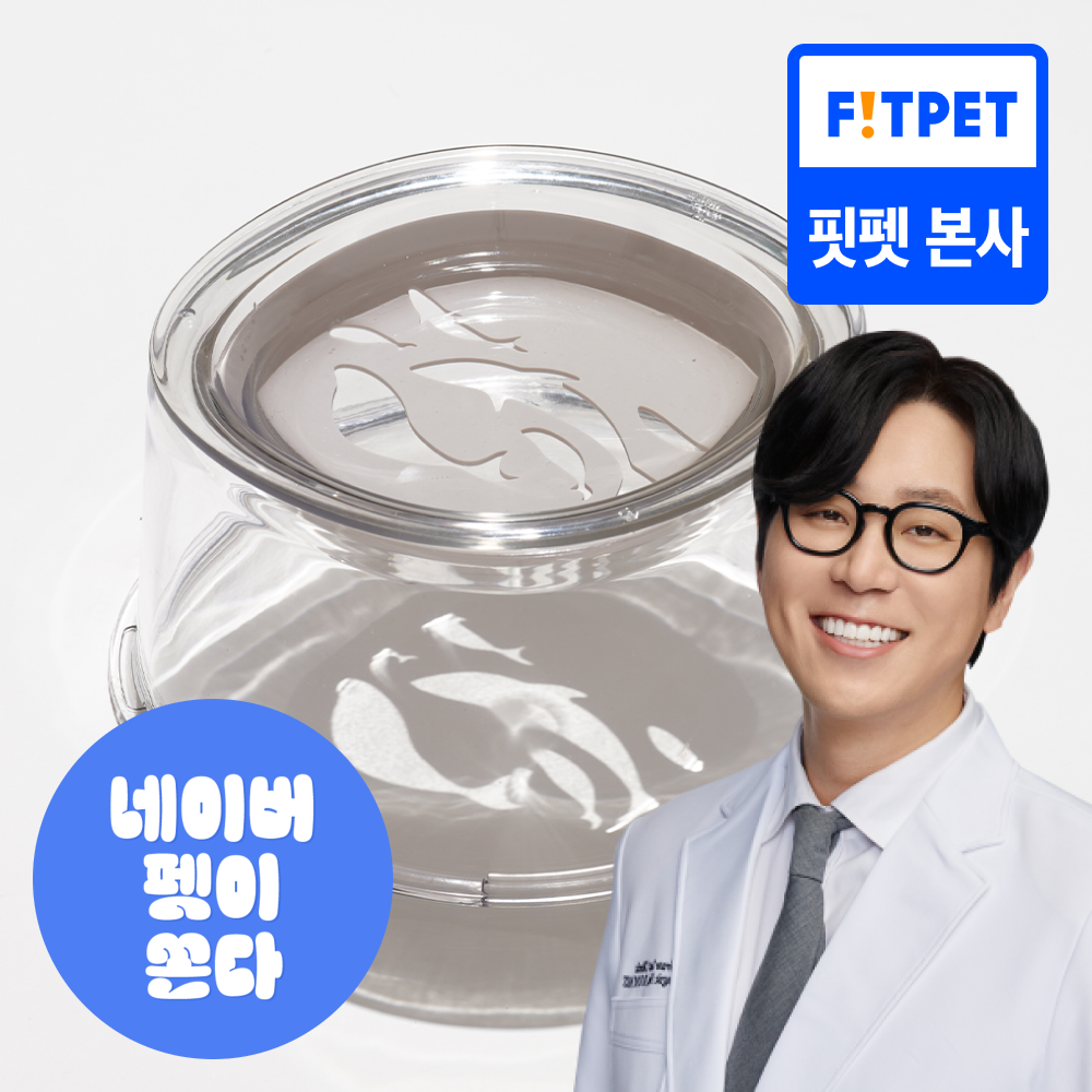 냥쌤 투명수반 고양이물그릇 식기 수반 음수량늘리기 아쿠아리움/갤럭시