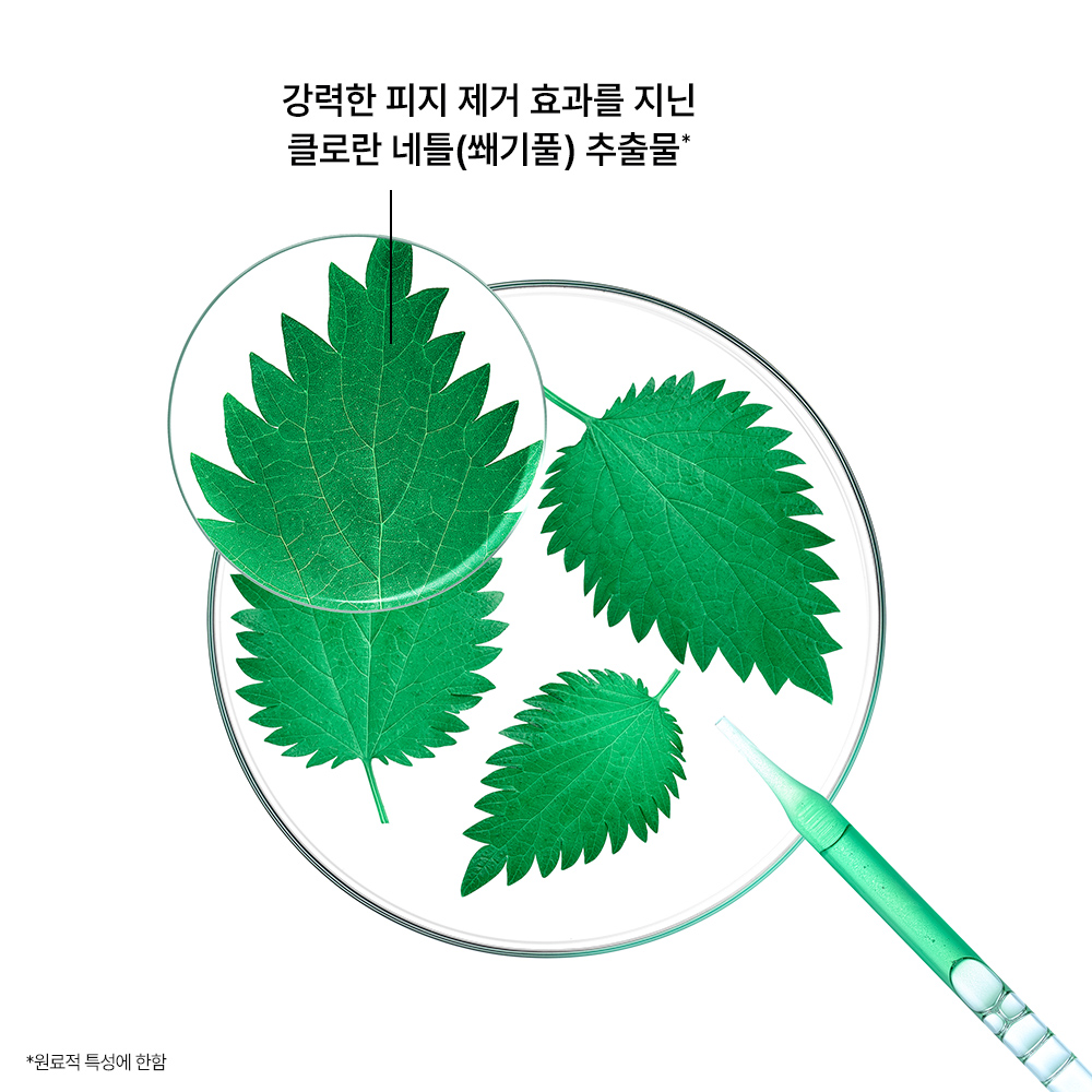 [클로란] 네틀 노세범 샴푸 400ml 3종 택 1 (+선택 없음/ 드라이 샴푸 50ml / 드라이 샴푸 150ml) (극지성두피) - 상세 이미지 5