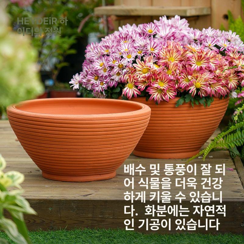특대형 토분 엔티크 홈가드닝 디자인 테라코타 빈티지 022 테라코타 - 상세 이미지 4