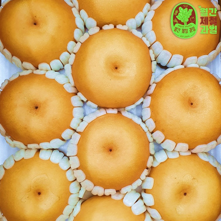 나주 원예농협 신고배 황금배 돌배 제수용배 한박스 선물 5kg - 상품 이미지