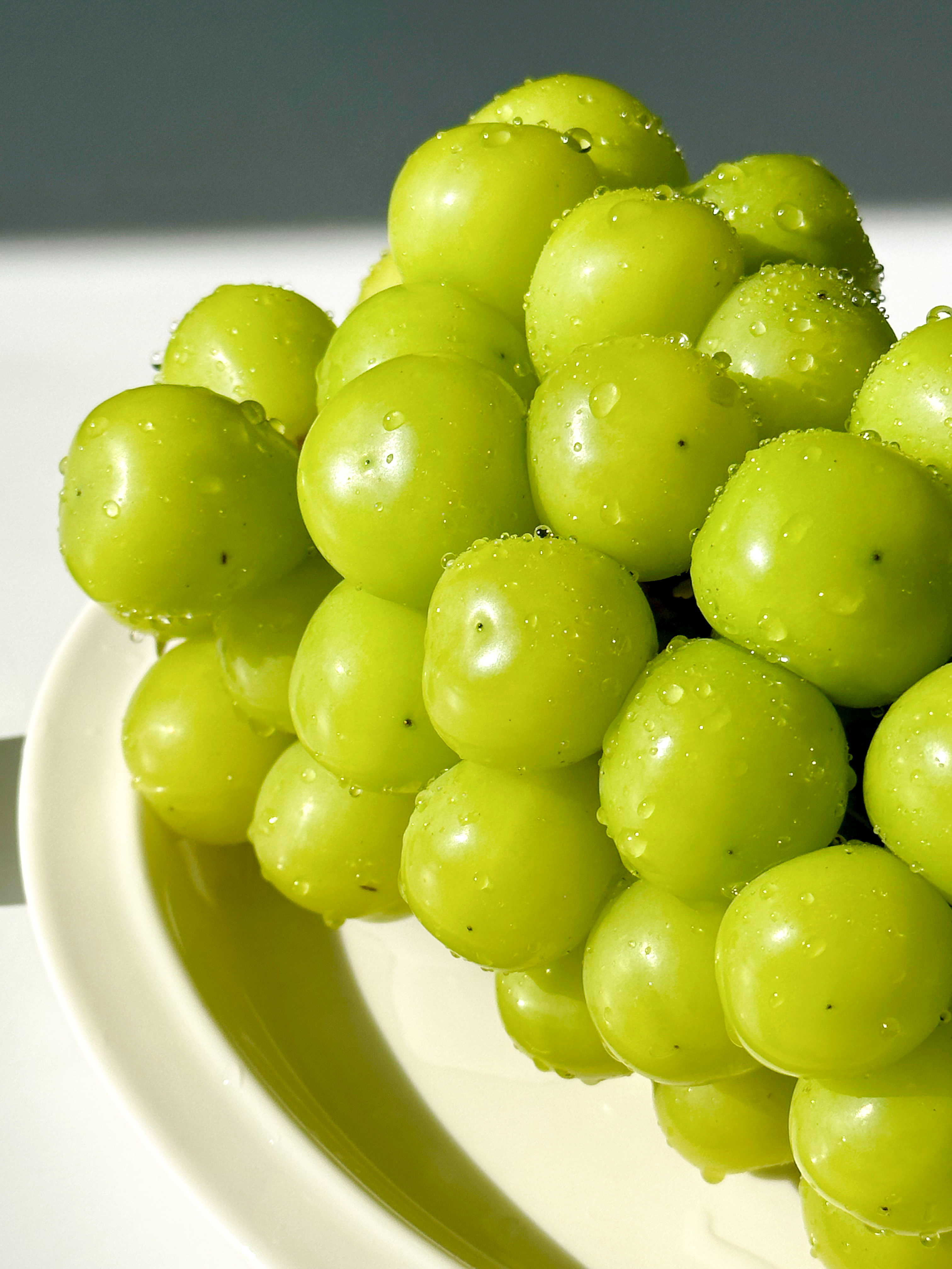 알큰 샤인머스켓 접대 선물 왕특 고당도포도 18Brix, 2kg, 1개 - 상세 이미지 4
