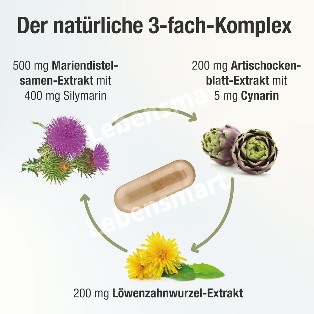 헤파벤트플러스 콜린 밀크씨슬 실리마린 400mg 60캡슐 이미지 6