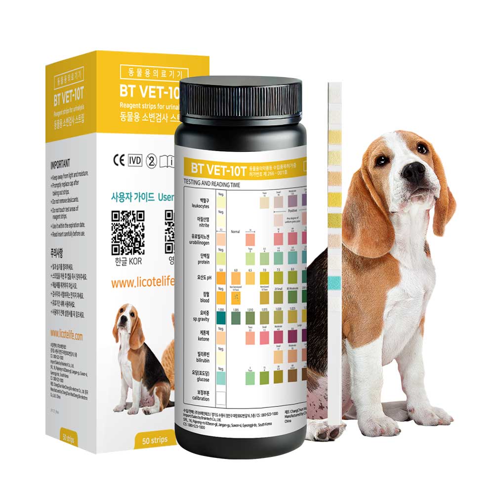 강아지소변검사 고양이소변 반려동물 건강 단백뇨염증 검사스틱 ph진단 50회