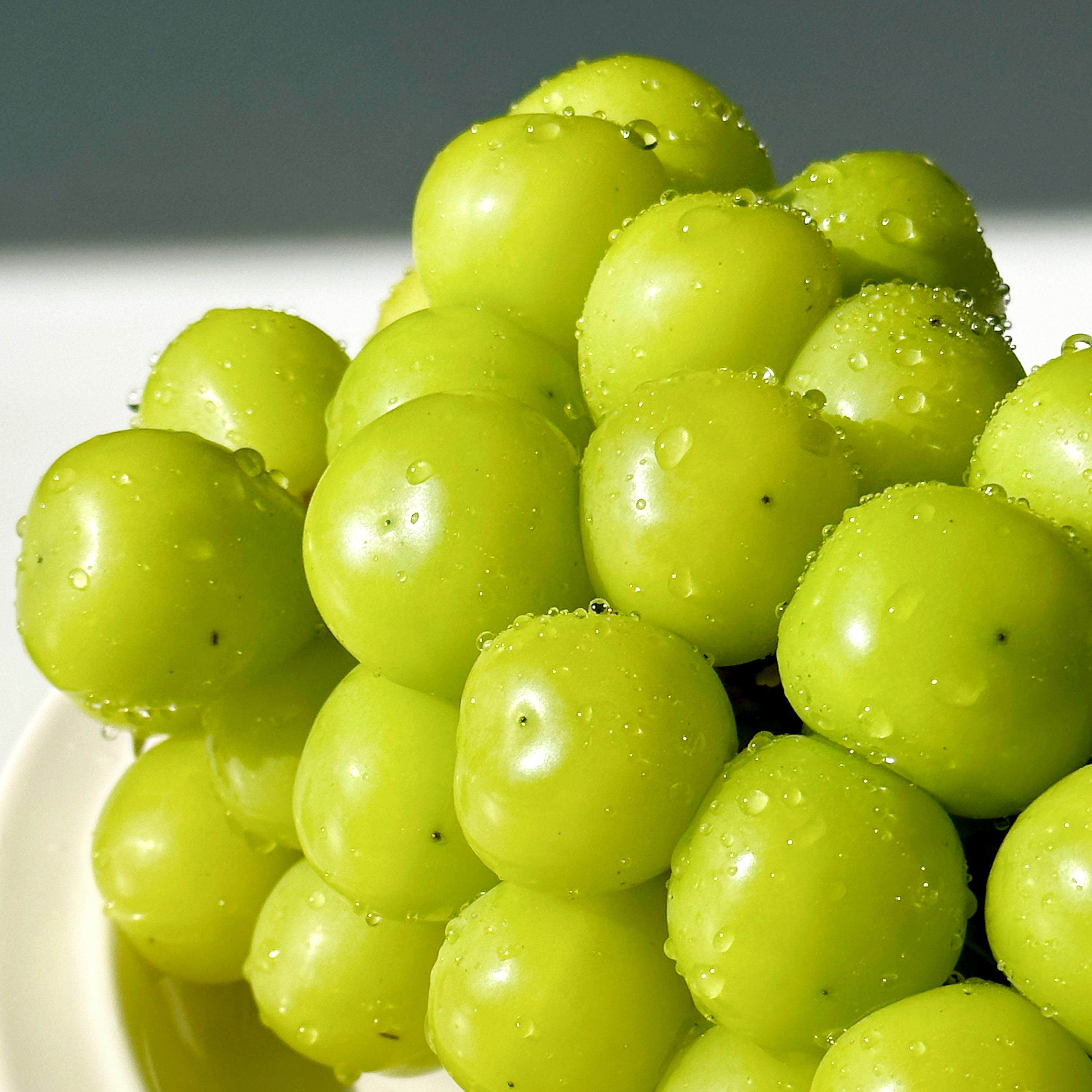 알큰 샤인머스켓 접대 선물 왕특 고당도포도 18Brix, 2kg, 1개 이미지 8