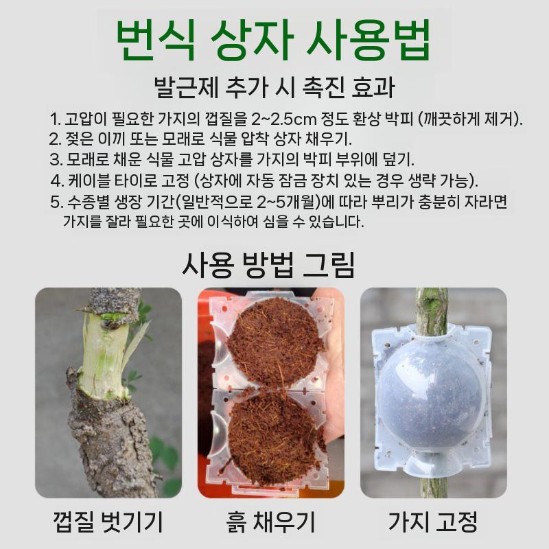 취목볼 루팅볼 식물번식 100개 배양 취목 케이스 투명 받기 중형 투명 트럼펫(1개) - 상세 이미지 4