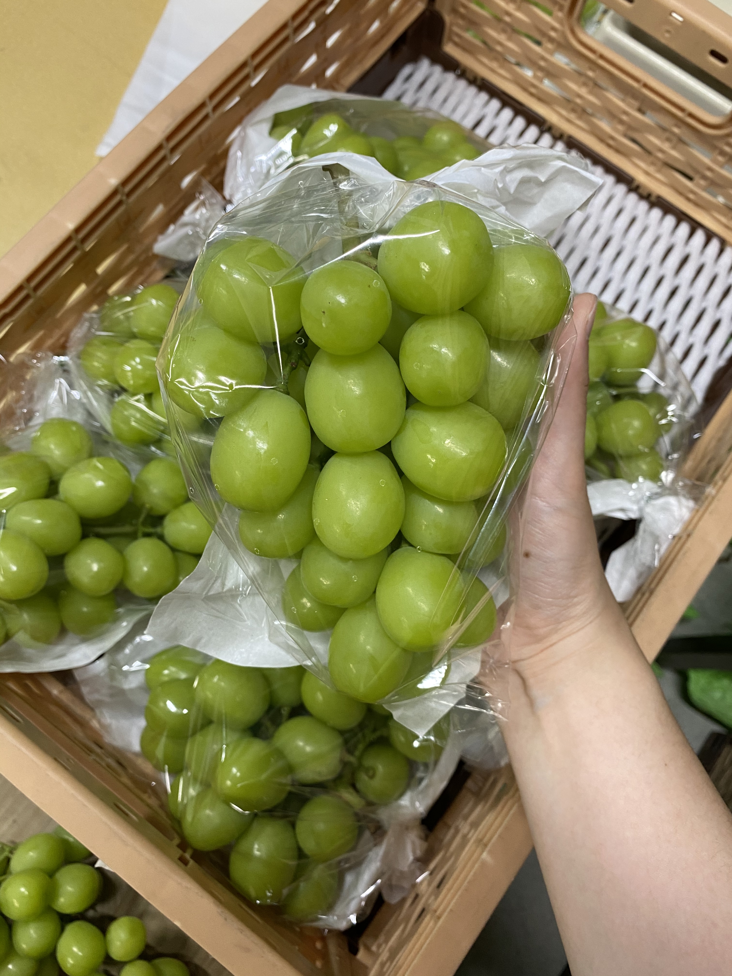 당도보장 프리미엄 샤인머스켓 1kg 망고포도 이미지 6