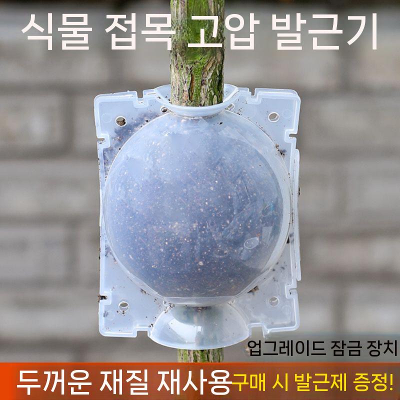 취목볼 루팅볼 식물번식 100개 배양 취목 케이스 투명 받기 중형 투명 트럼펫(1개) - 상세 이미지 2