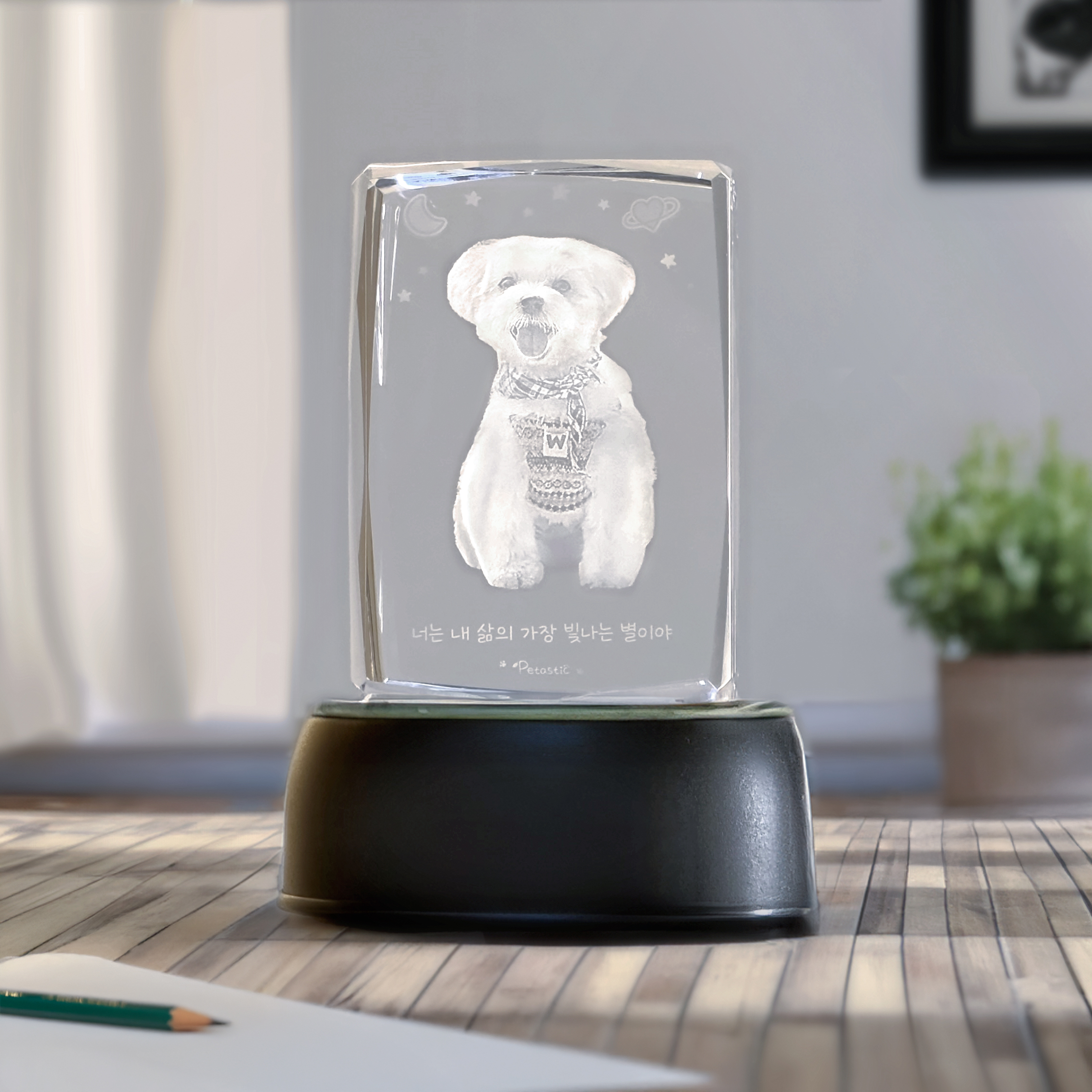 펫타스틱 가온별펫 강아지 메모리얼 스톤 사진3D각인