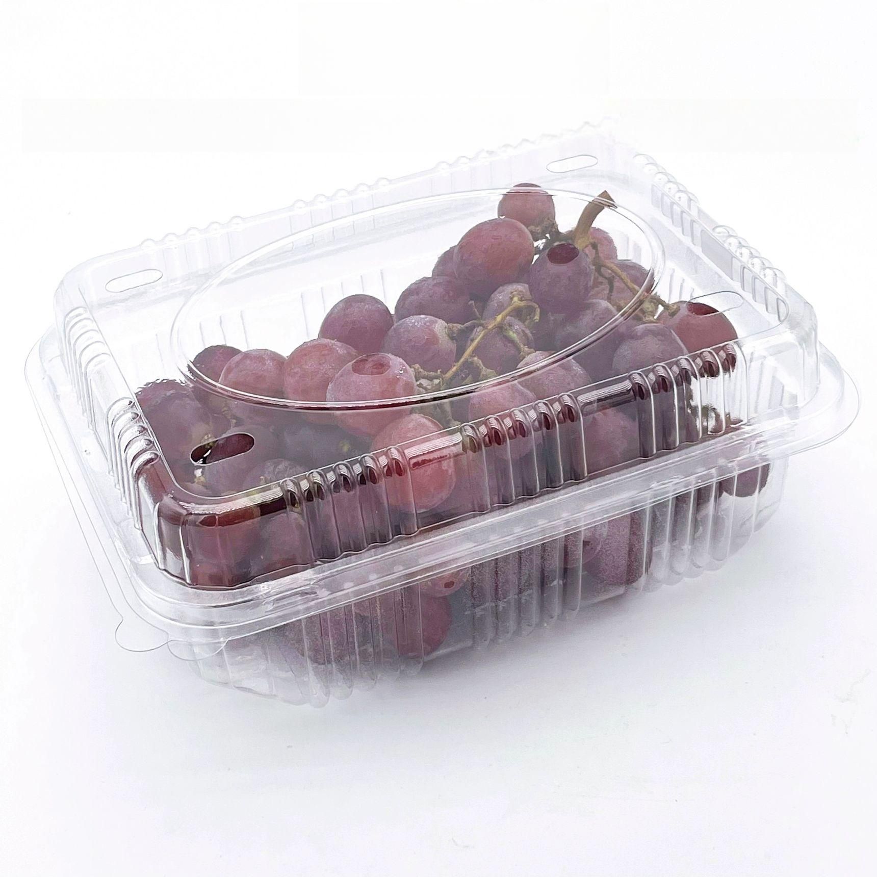 과일포장 상자 투명 포도 딸기 토마토 포장 업소용 마트용 판매용기 약 0.5kg 500B 17g 600개 - 상품 이미지