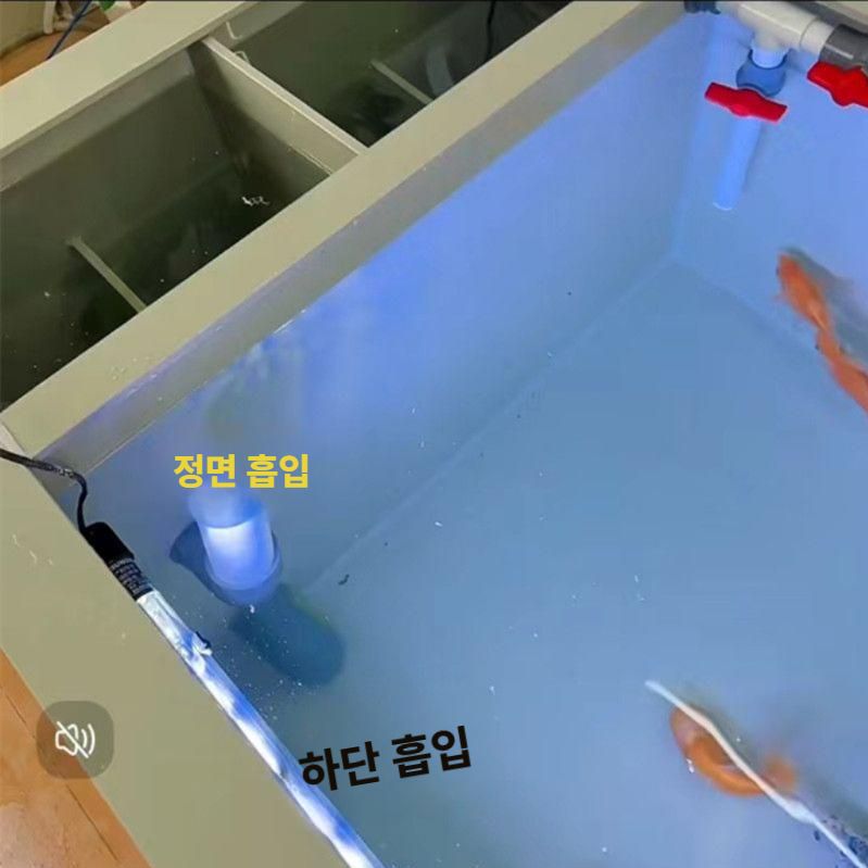 수족관 어항 회센터 횟집 플라스틱 수조 투명 물탱크 100x60x50cm