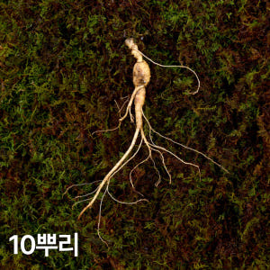 7,8년근 파삼 산양산삼 10뿌리 산양삼 장뇌삼 장뇌산삼 부모님 건강 효... 맛있게 먹은 솔직 후기 - 상품 이미지 1