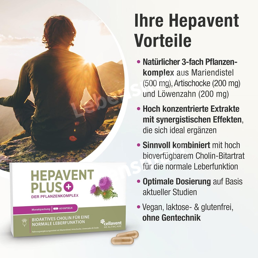 헤파벤트플러스 콜린 밀크씨슬 실리마린 400mg 60캡슐 - 상세 이미지 3