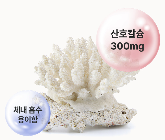 면역력 아연 영양제 zinc 산화 글루콘산 아연 90정 - 상세 이미지 4