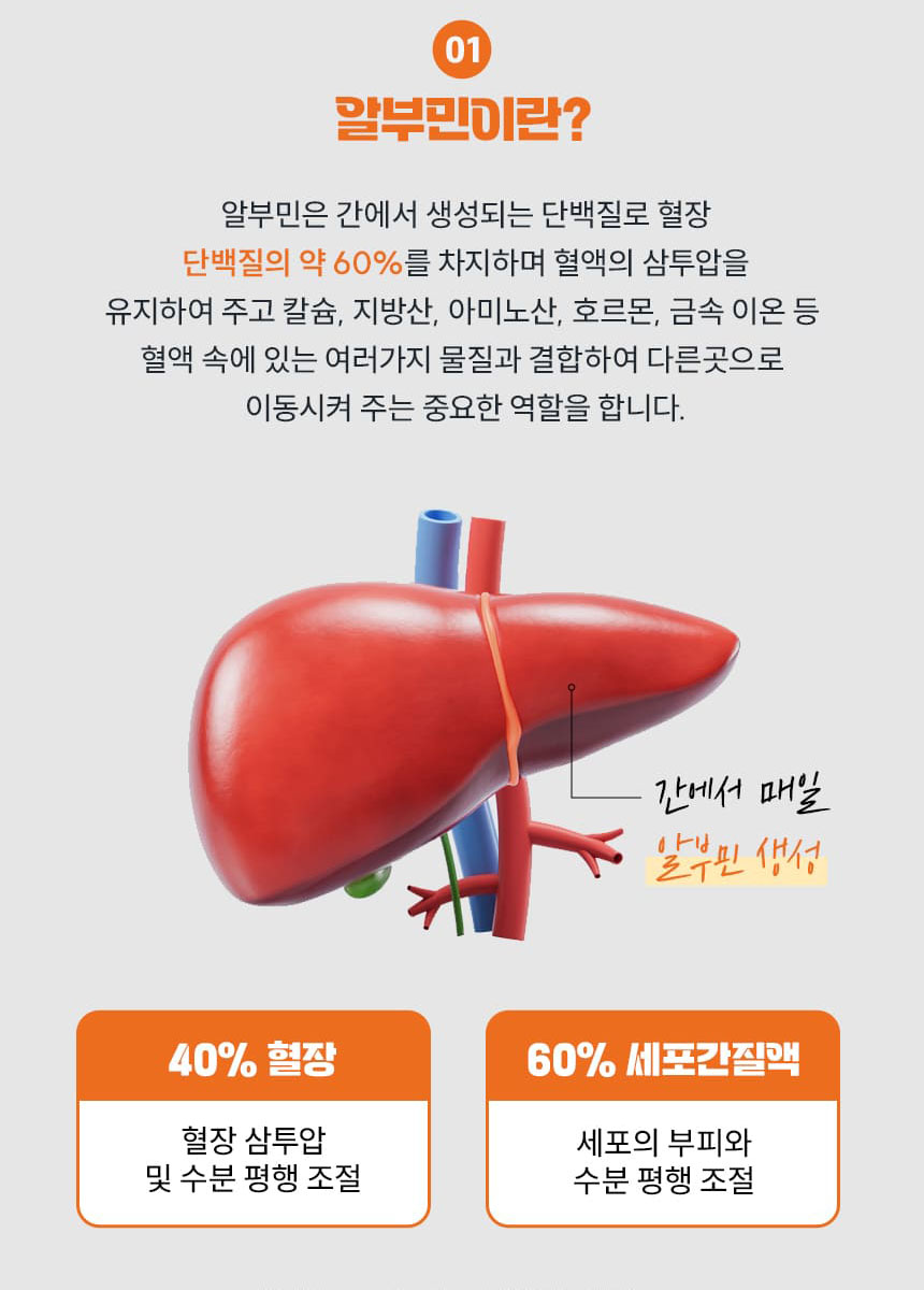 일진헬스케어 알부민 프랑스 알부민복합물 진액 스틱 30포 쇼핑백 - 상세 이미지 5