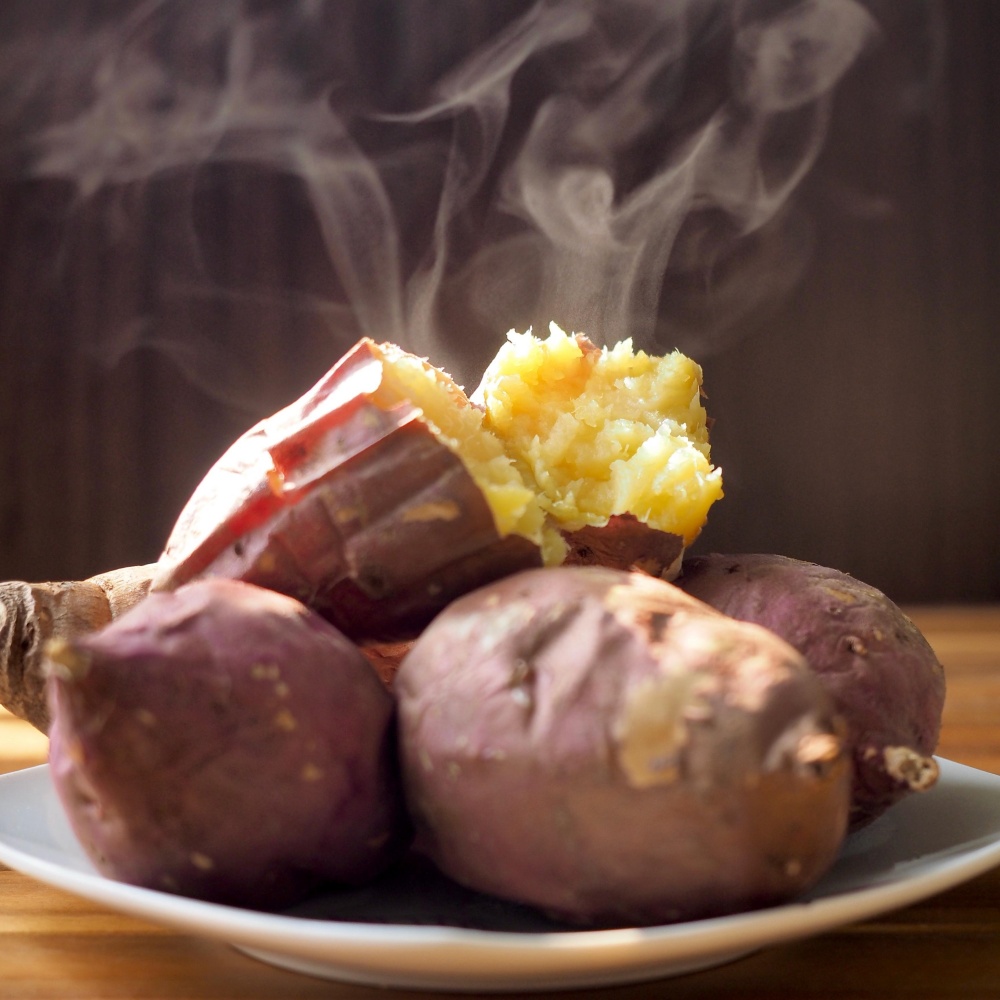 타박고구마 제철 해남햇밤고구마 진율미 퍽퍽한밤고구마 황토고구마 한입, 3kg, 1개
