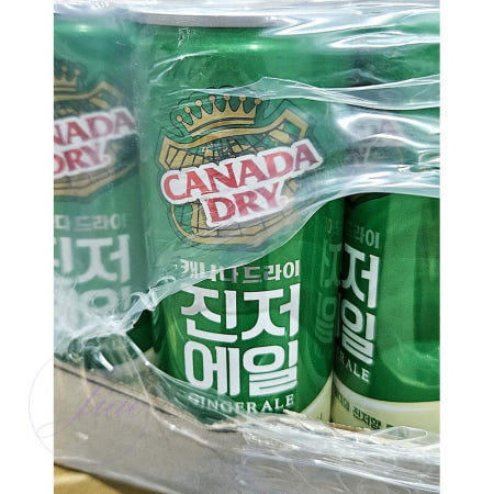 JU 캐나다드라이 진저엘 250g 30개 캔음료 생강탄산