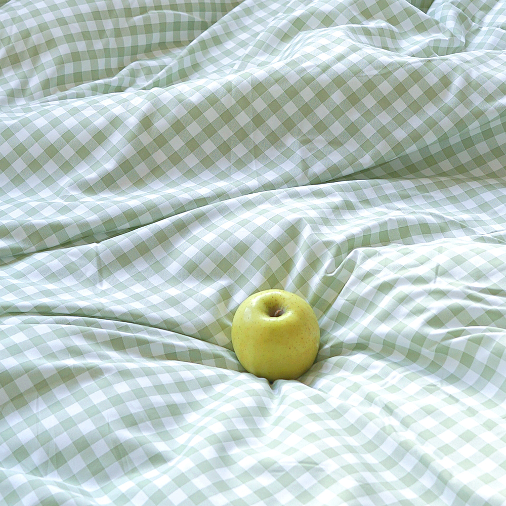 드림체크 먼지없는 사계절 옥수수솜 무봉제 차렵이불 애플그린, Q(퀸)