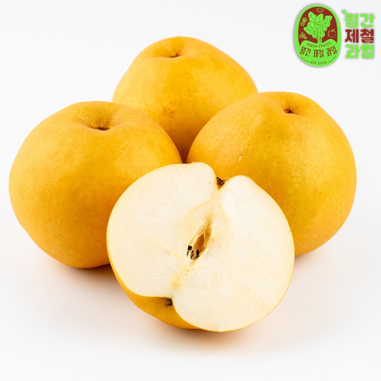 나주 원예농협 신고배 황금배 돌배 제수용배 한박스 선물 5kg - 상세 이미지 5