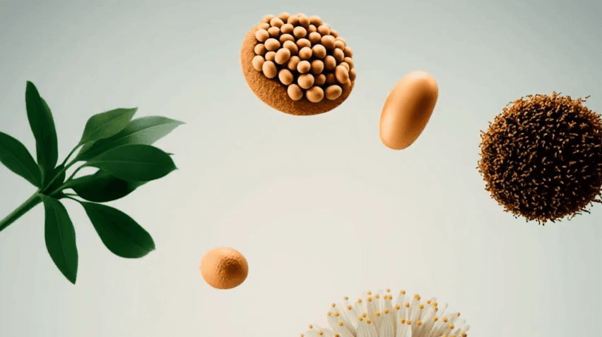 상품 상세 이미지 19