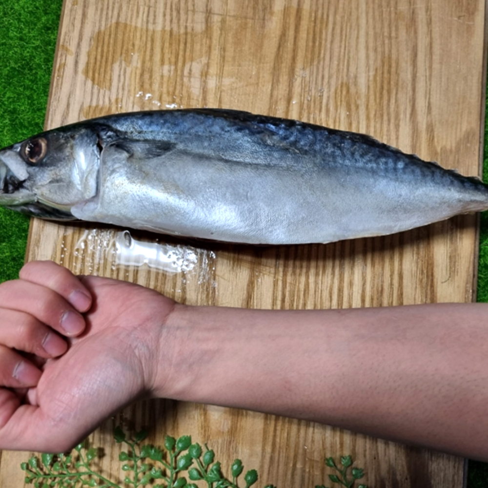 자연가득 부산 다대포 진공포장 자반 고등어 특대 2미 손질후 900g-1.1kg - 상세 이미지 3