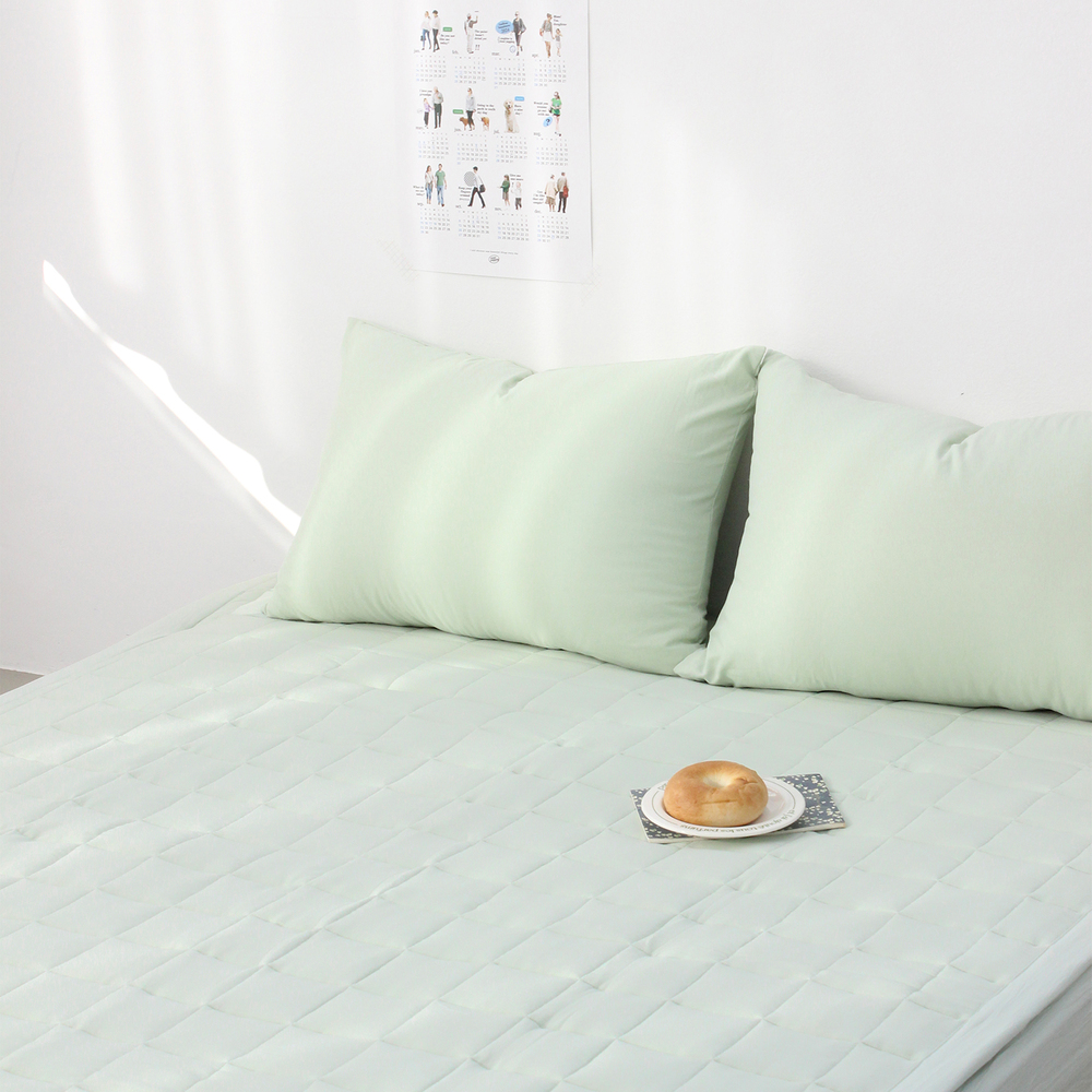 1+1  부드러운 아멜리 워싱 사계절 베개커버 2장 페일 라임, 50x70cm