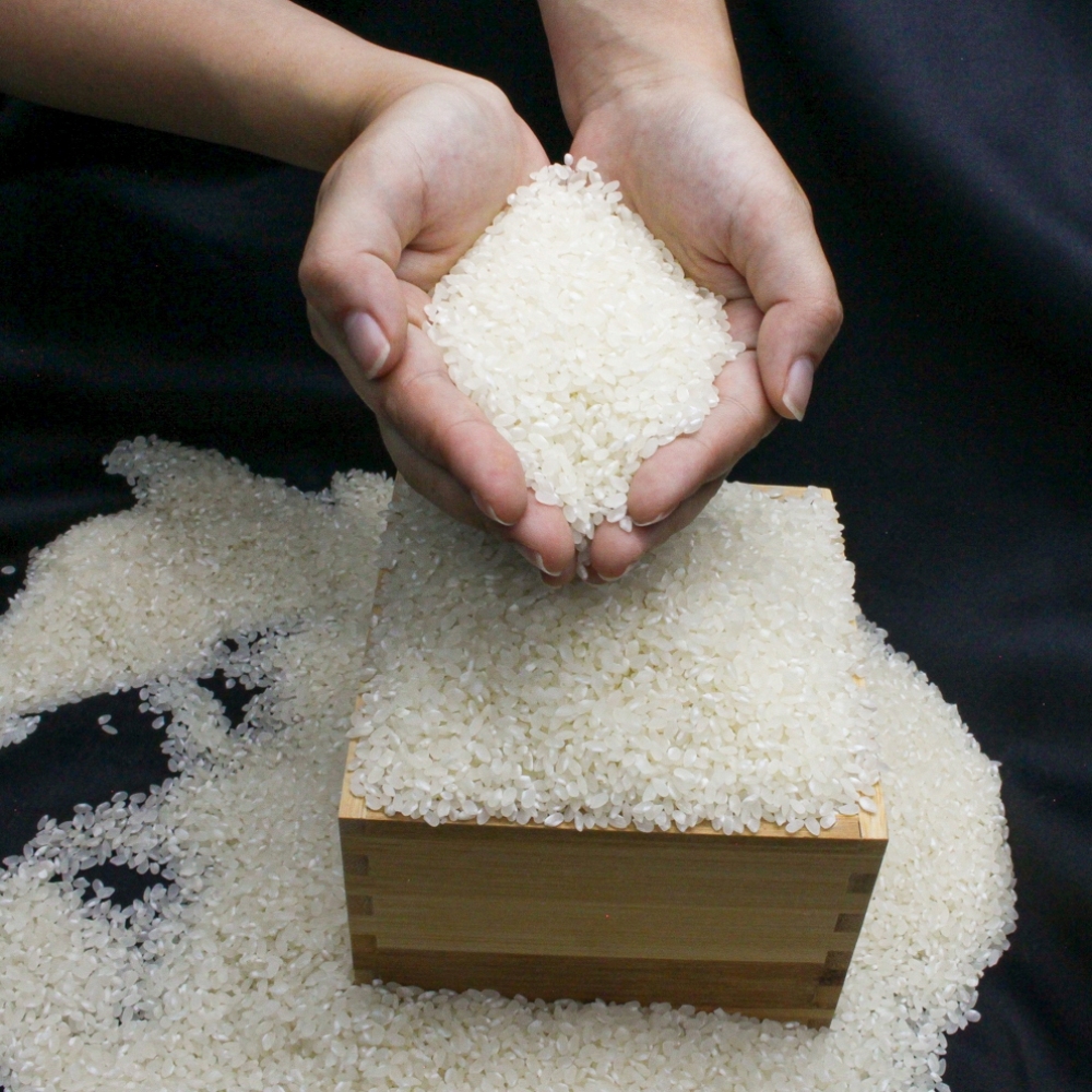 김포금쌀 25년햅쌀 찰진 돌잔치 답례품 밥맛좋은 10kg, 1개 - 상세 이미지 5