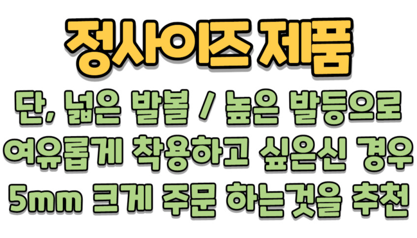 노스랜드 마라톤화 카본 런닝화 남자 운동화 조깅화 카본화 [한국마라톤협회 공인화] 판매처 상세 정보 이미지 4