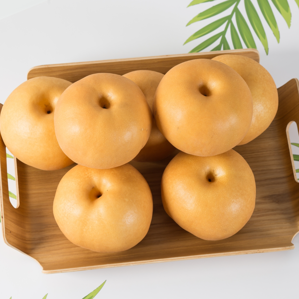 산지직송 나주 햇배 원황 신고 가정용 5kg 황금 제수용 이미지 8