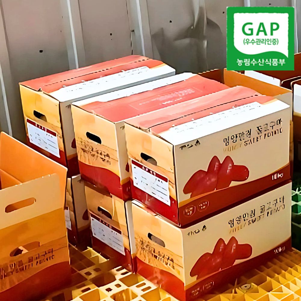 해남 명품 꿀 밤고구마 영양만점 황토 고구마 5kg 특품 - 상세 이미지 2