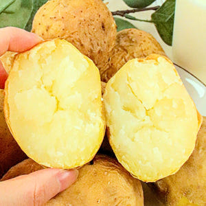 강원도 햇 감자 포슬포슬 수미감자 왕특 5kg 산지직송 맛있게 먹은 솔직 후기 - 상품 이미지 3