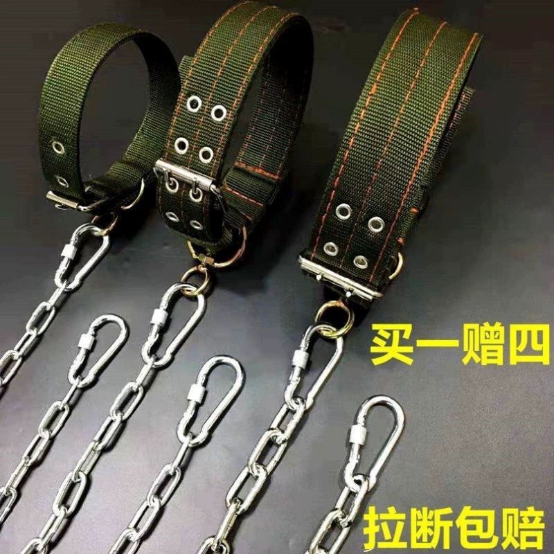 대형견 쇠줄 진돗개 체인 반려 시골개목줄 쇠사슬 철사 2.5mm 이하 15kg 길이 1m - 상세 이미지 2
