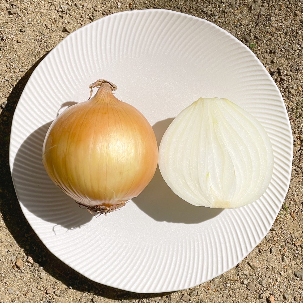 25년 수확 국내산 제철 무안 햇 양파 3kg 5kg 10kg - 상품 이미지